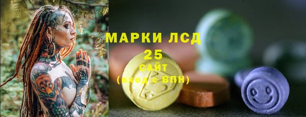 стаф Аркадак