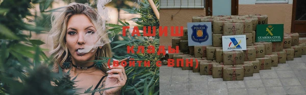стаф Аркадак