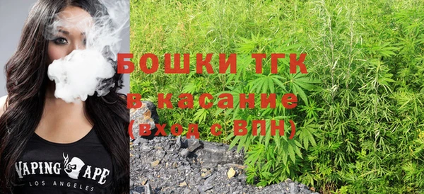стаф Аркадак