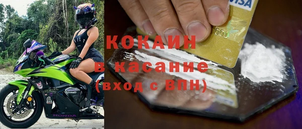 стаф Аркадак