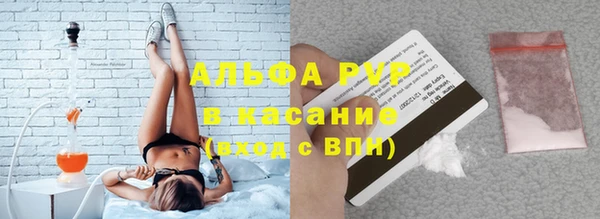 стаф Аркадак